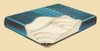 Regency V Hardside Waterbed