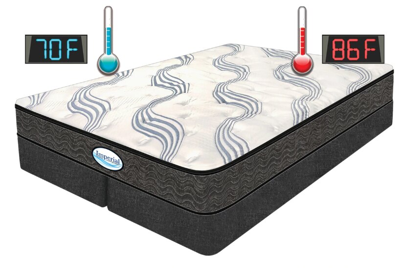 Shop our softside waterbed collection Softside waterbed cutaway in California
