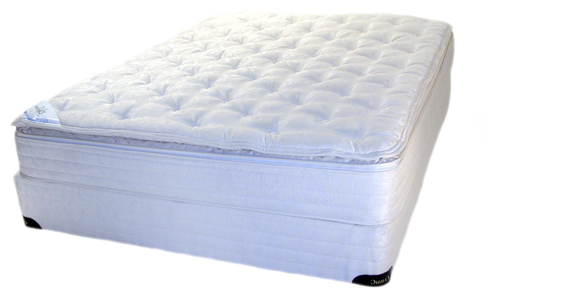 Splendor softside waterbed